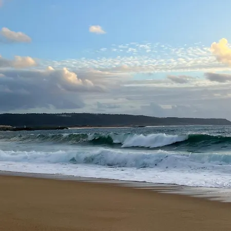 Lighthouse - Rest, And Dream Daire *